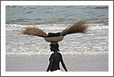 Ghana_2011_1033.jpg